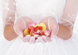 Flowers for a Wedding Ceremony